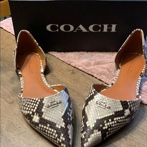 Snake print 🐍Coach Shoes size 9